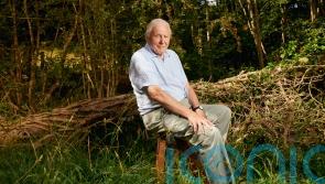 Where to see the wildlife heroes of Sir David Attenborough’s Planet Earth III