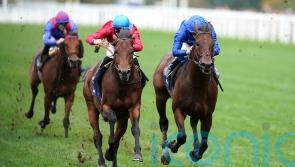 Stars set to align for Champions Day