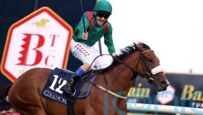 Ascot ground a concern for Weld ahead of Tahiyra date