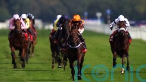 Dancing Gemini all set for Futurity Trophy challenge