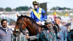 Derby winner Desert Crown put down due to gallops injury
