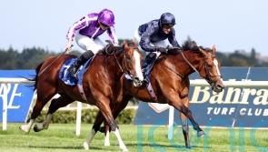 James Doyle booked for Diego Velazquez Trophy bid
