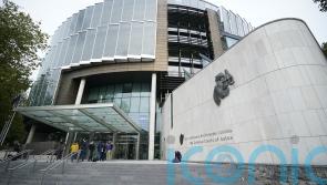 Court told DNA sample from under Ashling Murphy’s nails matches suspect’s profile