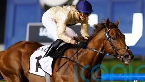 Foot issue scuppers Algiers’ Breeders’ Cup bid