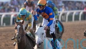 White Abarrio collects Breeders’ Cup Classic gold