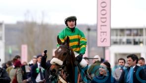 Iroko ready for chasing bow at Warwick
