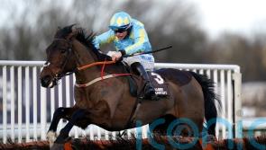 Mahler Mission given Coral Gold Cup aim