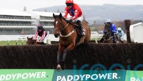 Editeur Du Gite primed for Haldon Gold Cup return
