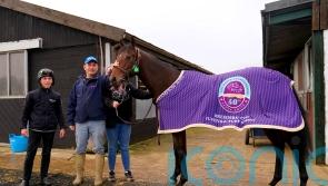 Appleby on a high following Big Evs’ Breeders’ Cup heroics