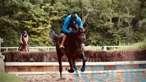 Il Est Francais books Kempton ticket with Auteuil victory