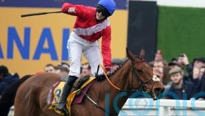 De Bromhead pleased with ‘much improved’ Envoi Allen