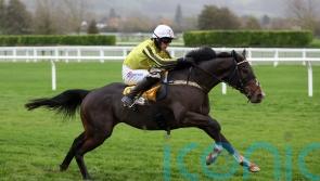 Burdett Road ultra-impressive in Triumph Trial victory