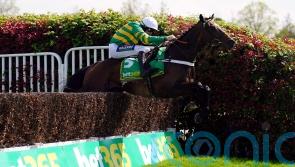 Jonbon back in action in ‘competitive’ Shloer Chase