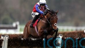 Love Envoi could take on Constitution Hill at Newcastle
