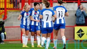 Stadium plan could make Brighton pioneers in women’s game – councillor