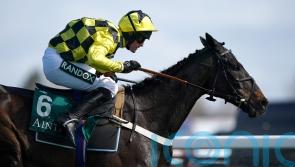 Shishkin refuses to start in 1965 Chase at Ascot