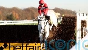 Grey Dawning looks smart in getting off the mark over fences