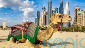 Why Dubai tops the list for a winter sun break