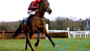 Coral Gold Cup looks wide open as leading fancies hold firm