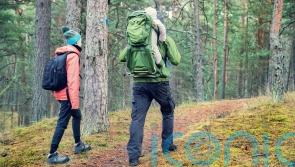 Walk faster to lower type 2 diabetes risk, say researchers