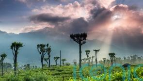 The best places to go on holiday in 2024