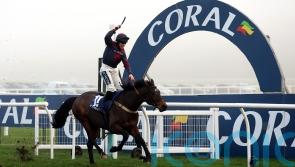 Datsalrightgino cuts through field to lift Coral Gold Cup