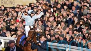 Honeysuckle on course for motherhood