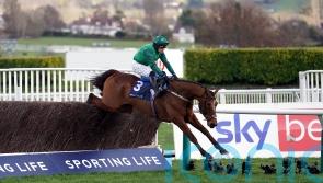 El Fabiolo bids to maintain Mullins’ Hilly Way domination