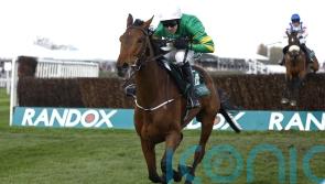 Fakir D’oudairies heading to Cheltenham on Saturday