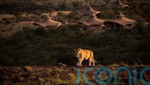 How Richard Branson’s Kenyan hideaway became a safari saviour