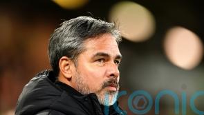 Norwich boss David Wagner delighted to ‘put things right’ with clinical display