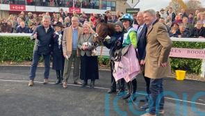 Hermes Allen set to represent Nicholls at Kempton, with Knappers Hill sidelined