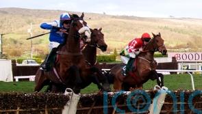 Might I chasing Grade Two honours at Ascot