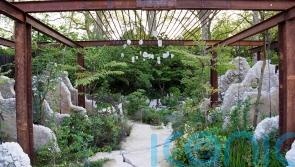 Gardening trends for 2024 – and the impact of climate change
