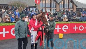 Rejuvenated Sir Gerhard ‘may go down Stayers’ Hurdle route’