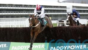 Shakem Up’Arry finds the back of the net at Cheltenham