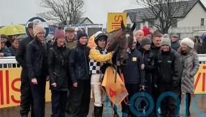 Jungle rocks for New Year’s Day honours at Tramore