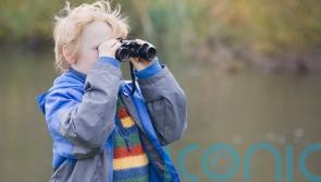How do you get your child interested in birdwatching?