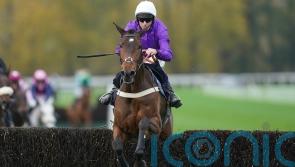 Hobson mulling Cheltenham and Lingfield choices for Fugitif