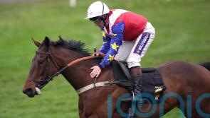 Fehily seeking more Newbury riches in Betfair Hurdle