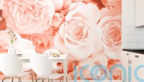 How to style Pantone’s 2024 Colour of the Year – Peach Fuzz