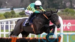 No Flies On Him has Dublin date for O’Grady