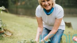 Nancy Birtwhistle’s 6 cheap and eco-friendly ways to look after your home