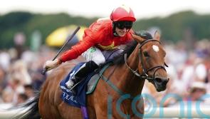 Highfield Princess to continue stellar racing career