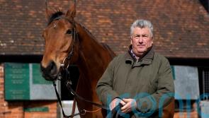 Nicholls: Straight to Cheltenham now with Bravemansgame