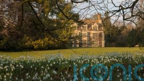 10 of the best gardens to visit to see snowdrops