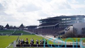 Theleme ruled out of Stayers&rsquo; Hurdle following setback