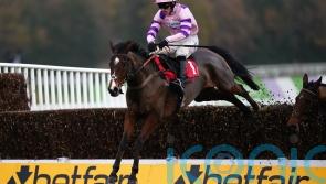 Nicholls rates Cotswold the ‘perfect race’ for Stay Away Fay