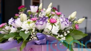 Romantic alternatives to red roses on Valentine’s Day