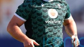 They bring a lot of energy – Wales’ Ryan Elias hails impact of ‘sharp’ new boys